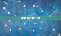 金星落哪宫比较最漂亮(探寻星座之美)