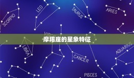 摩羯座即将迎来正缘吗(星象预测爱情运势大好)