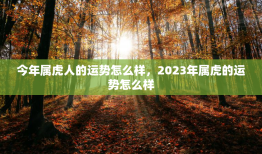 今年属虎人的运势怎么样，2023年属虎的运势怎么样