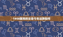 1958属狗的女命今年运势如何：事业升职财运稳，爱情甜蜜幸福