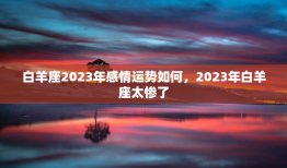 白羊座2023年感情运势如何，2023年白羊座太惨了