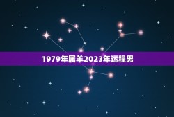 1979年属羊2023年运程男(运势大介绍)