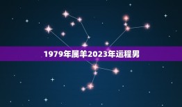 1979年属羊2023年运程男(运势大介绍)