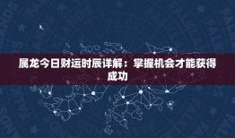 属龙今日财运时辰详解：掌握机会才能获得成功