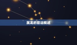 属龙的哪天出生是官命(介绍龙年出生的官运日期)