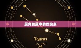 属兔和属牛的合不合婚(星座配对分析)