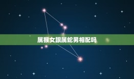 属猴女跟属蛇男相配吗(星座配对分析)