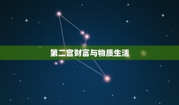 星盘各宫位代表(你的人生宫殿)