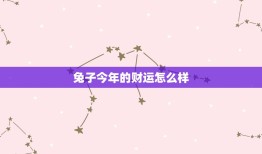 兔子今年的财运怎么样(2023年兔子的财运展望)