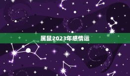 属鼠2023年感情运(爱情甜蜜还是波折)