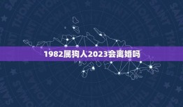 1982属狗人2023会离婚吗(婚姻危机解读属狗人的婚姻运势)