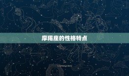 狮子座和摩羯座合适吗(星座配对分析)