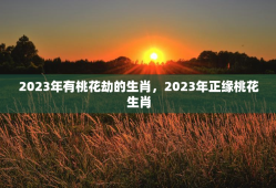 2023年有桃花劫的生肖，2023年正缘桃花生肖