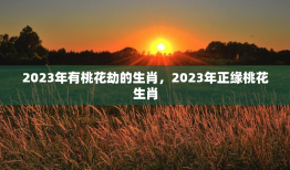 2023年有桃花劫的生肖，2023年正缘桃花生肖