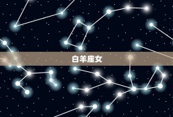 双子男应该找什么星座女(星座匹配介绍)