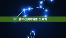 流年乙亥年是什么(介绍猪年的五行属性及运势)