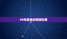 99年属兔的姻缘在哪(如何找到真爱)