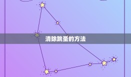 家里出现跳蚤怎么清除(快速有效的清除方法)