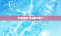 水瓶座感情运势2023(爱情大起大落)