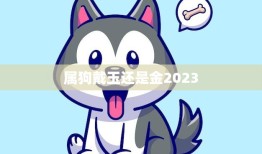 属狗戴玉还是金2023(如何选择最适合自己的饰品)