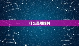 2023免费测婚姻树(解读你的婚姻命运)