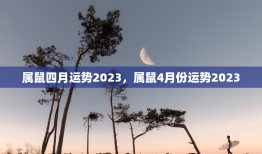 属鼠四月运势2023，属鼠4月份运势2023