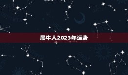 属牛人2023年运势(牛转乾坤财运亨通)