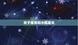 双子座男跟什么星座最配(天生一对的星座组合)