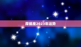 摩蝎座2023年运势(事业财运双丰收)