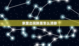 家里出现跳蚤怎么清除(快速有效的清除方法)