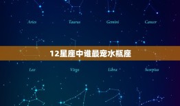 12星座中谁最宠水瓶座(星座大介绍水瓶座的宠爱指南)