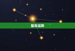 2023年生肖运势介绍(十二生肖运势大介绍)