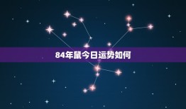 84年鼠今日运势如何(财运旺盛事业顺利感情甜蜜)