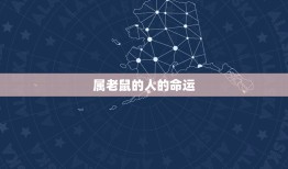 今年属老鼠的是什么命(2023年属老鼠的人运势如何)