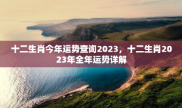 十二生肖今年运势查询2023，十二生肖2023年全年运势详解