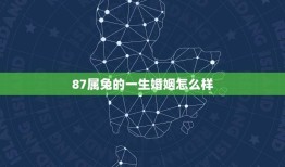 87属兔的一生婚姻怎么样(从命理学角度介绍属兔人的婚姻运势)