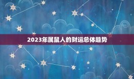 84年属鼠人今年财运(大展宏图财源滚滚来)