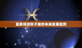 未来双子座两三年运势(星象预测你的未来发展趋势)