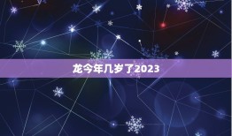 龙今年几岁了2023(龙年将至龙的年龄将迎来新变化)