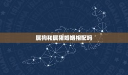 属狗和属猪婚姻相配吗(介绍星座学说与实际情况)