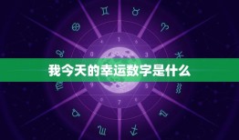 我今天的幸运数字是什么(揭秘你今天的好运密码)