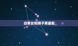 白羊女和什么星座最配(星座大介绍配对星座是TA)