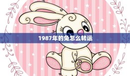 1987年的兔怎么转运(如何在新的一年里获得好运)