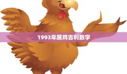 1993年属鸡吉利数字(揭秘你的幸运数字是什么)