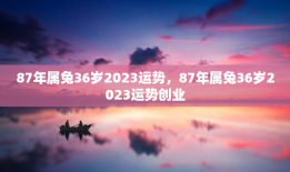 87年属兔36岁2023运势，87年属兔36岁2023运势创业