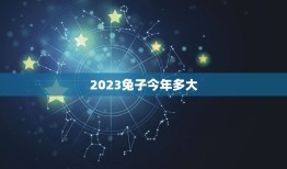 2023兔子今年多大(介绍兔子的年龄计算方法)