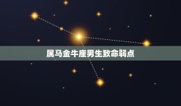 属马金牛座男生致命弱点(介绍情感世界脆弱易受伤)