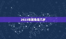 2023年属兔是几岁(属兔人的年龄计算方法)