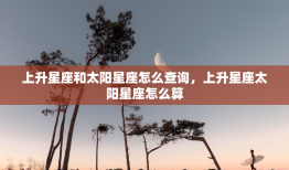 上升星座和太阳星座怎么查询，上升星座太阳星座怎么算