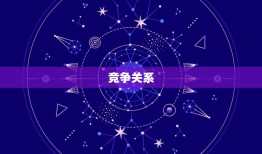 两人合盘中的各种关系(介绍从合作到竞争从友谊到爱情)